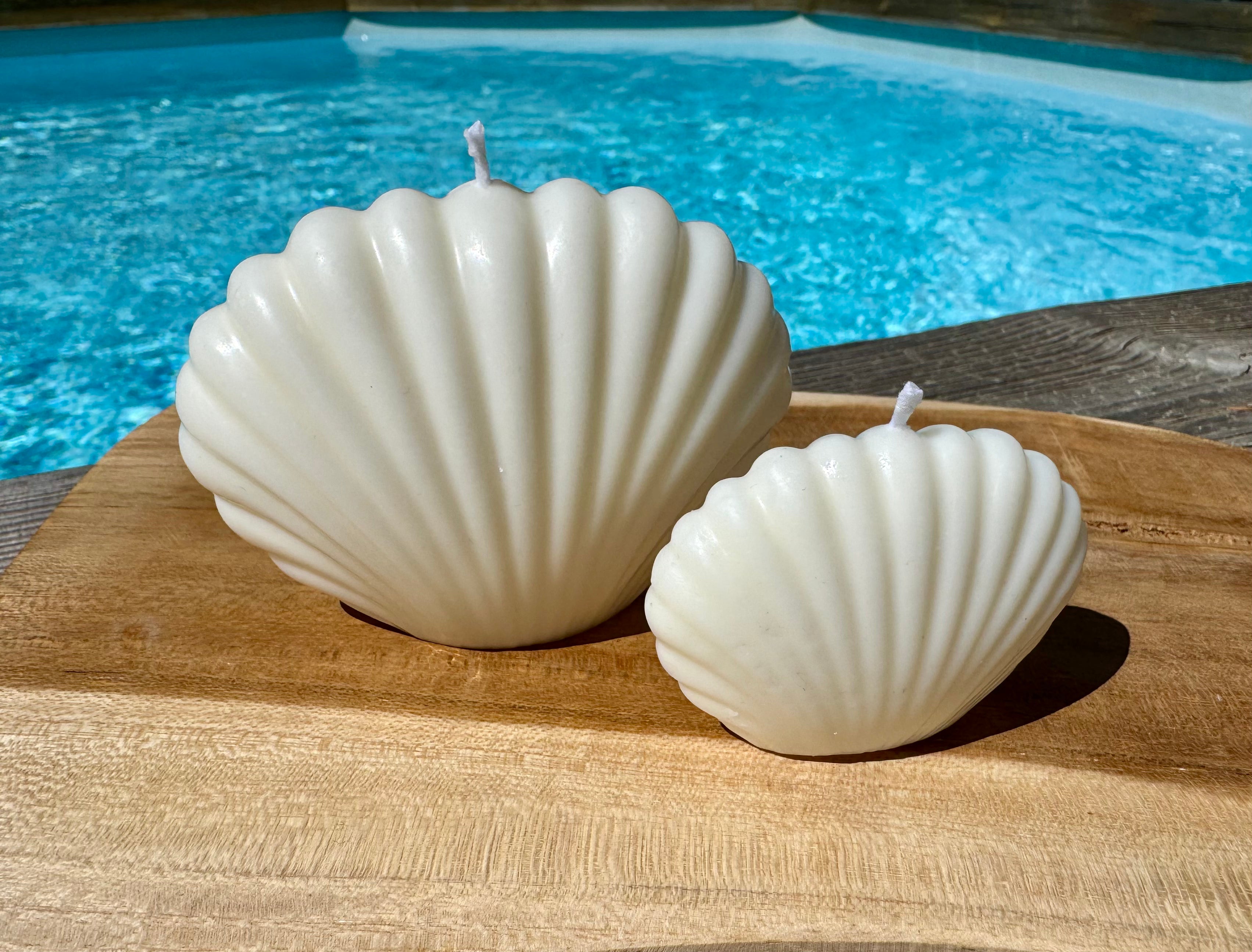 Duo bougies coquillage